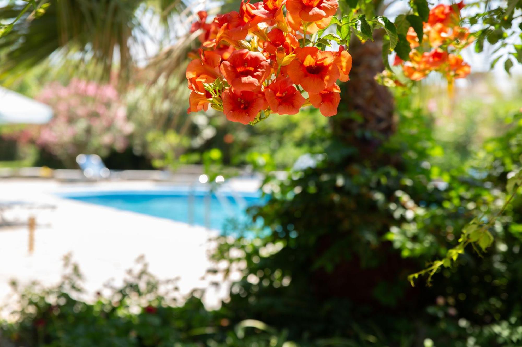 San Antonio Stratos Aparthotel Kamisiana ภายนอก รูปภาพ